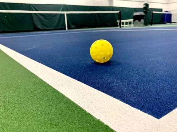a yellow ball on a tennis court at Schaefer Ridge Apartments, Branson , Missouri