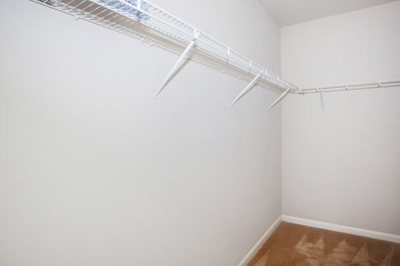 Large Closet at Carrington Place at Wildewood Apartments, South Carolina, 29223