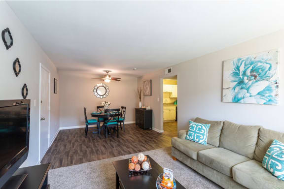 Living Room With TV at Bradley Square Apartments, South Carolina