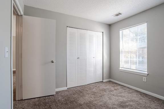Carpeted Bedroom at Brookside Pointe Apartments, Travelers Rest South Carolina