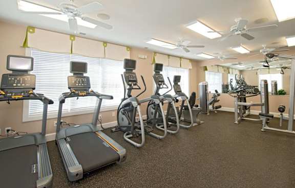 A gym with treadmills, elliptical machines, and other exercise equipment.
