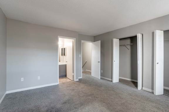 Plush Carpeting at Jamestown Pointe Apartments, South Carolina, 29607