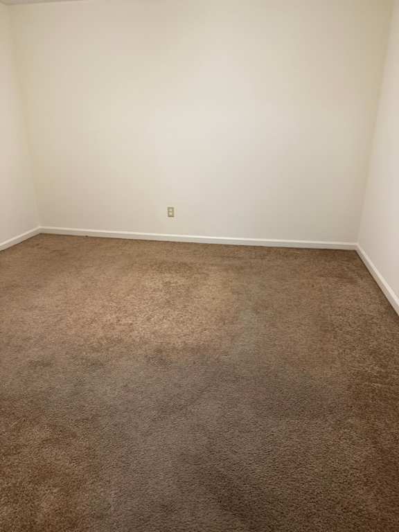 A room with a carpeted floor and a wall socket.