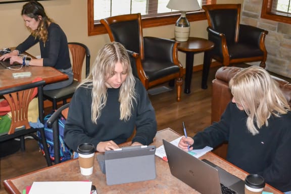 Girls With Laptop at Summit Ridge, Duluth, Minnesota