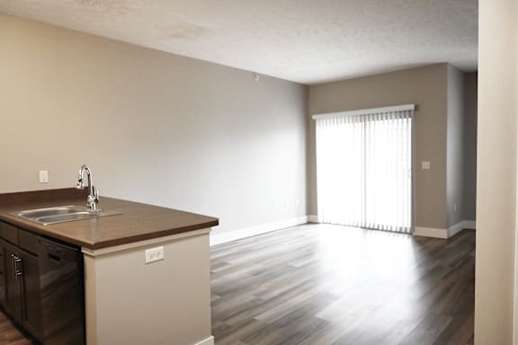 A kitchen with a sink and a window.