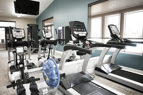 A row of treadmills and elliptical machines in a gym.