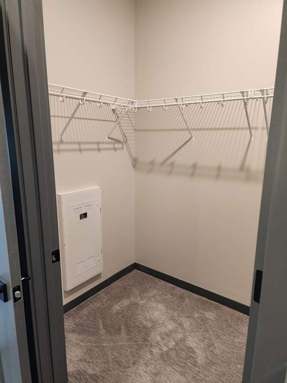 Walk in closet with wire shelving and carpet flooring at The Harbor