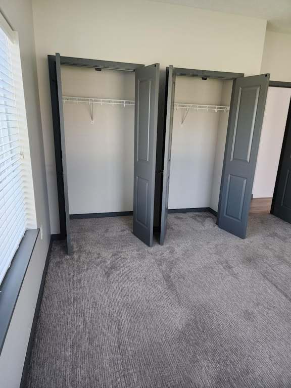 Closet with double hanging rods and carpet flooring at The Harbor