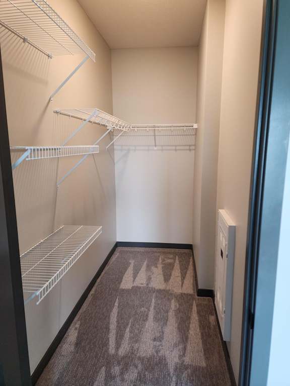 Alternate view of walk in closet with shelving and storage space at The Harbor.