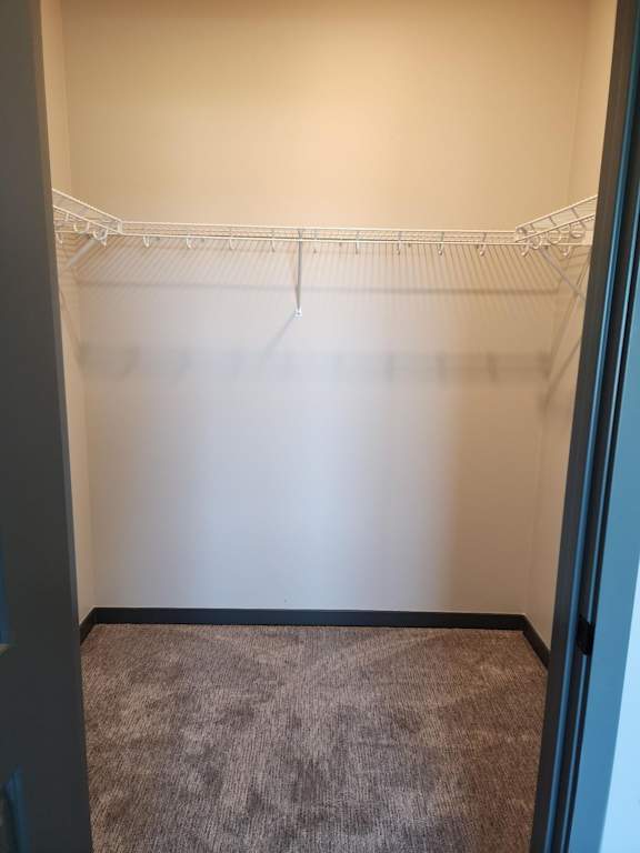 Interior closet with a hanging rod and carpet flooring at The Harbor.