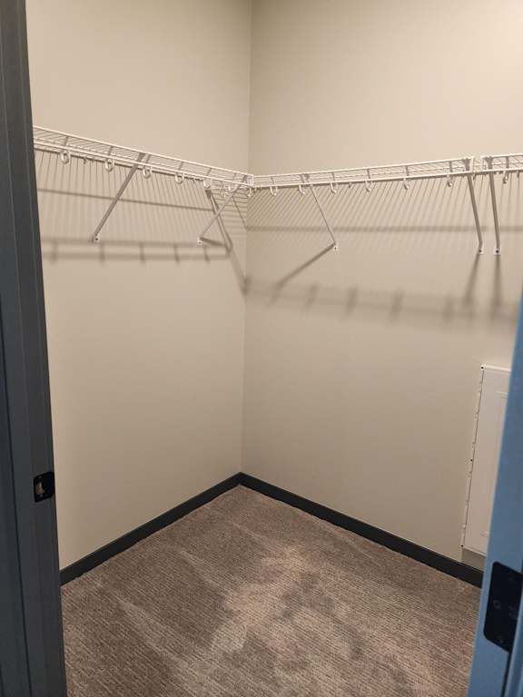 Walk in closet with multiple hanging rods along two walls and carpet flooring at The Harbor.