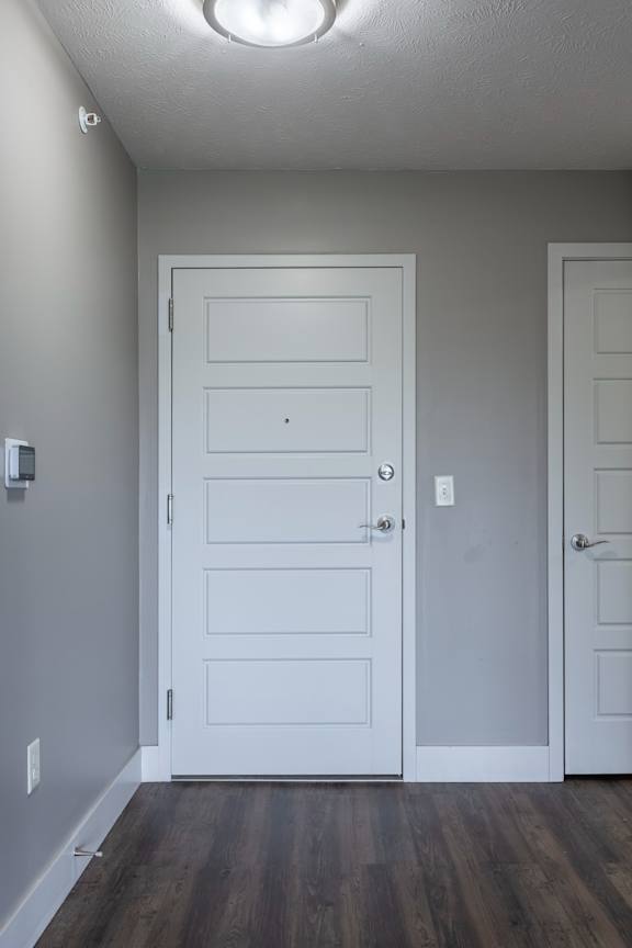 Entry area with two white doors and wood flooring