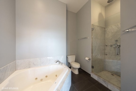 Rainfall Shower