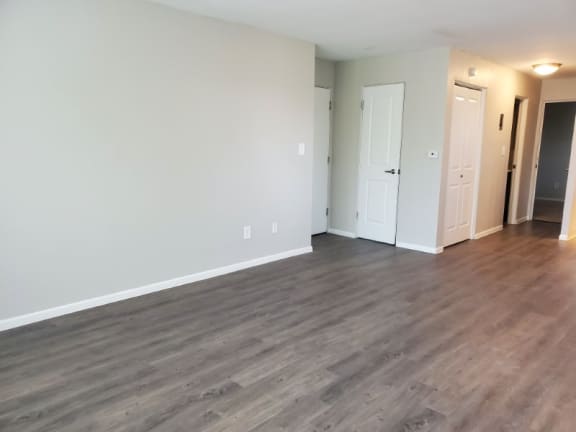 Wood Style Plank Flooring at 1444 Saint Paul St in Denver, CO