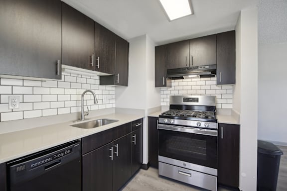 A modern kitchen with black cabinets and stainless steel appliances.