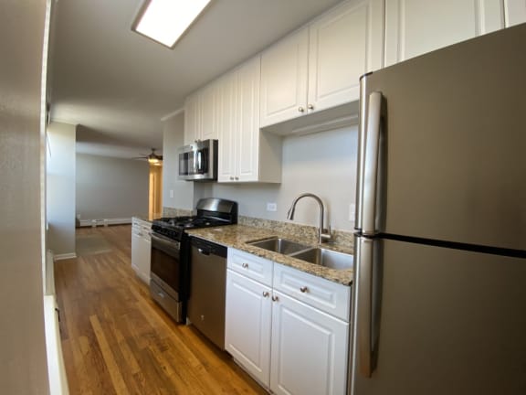 Stainless Steel Appliances