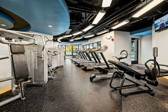 A gym with a row of treadmills and exercise machines.