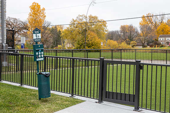Dog Run