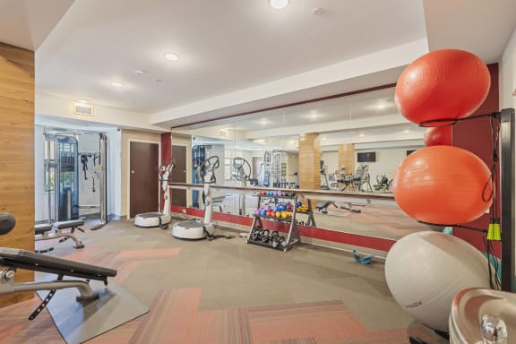 the gym at the preserve apartments at The Winslow 62+ Apartments, Minnesota, 55118