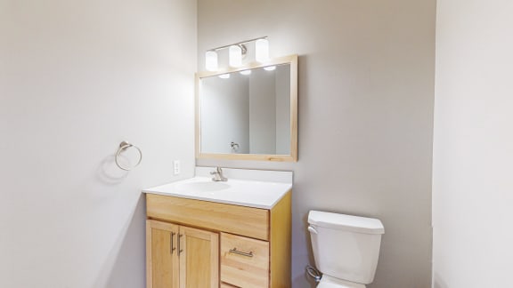 a bathroom with a toilet and a sink and a mirror