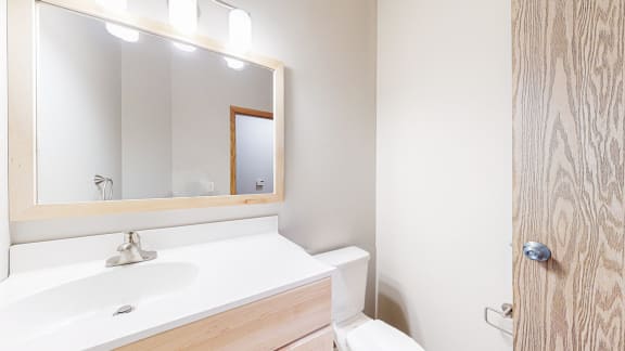 a bathroom with a sink and a mirror and a toilet