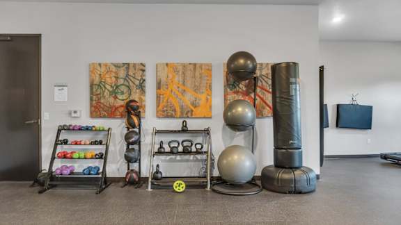 A room with a variety of exercise equipment including kettlebells, a medicine ball, and a weight rack.