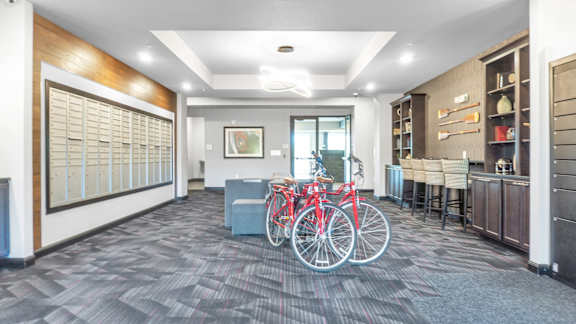 A room with a bicycle and a bench.