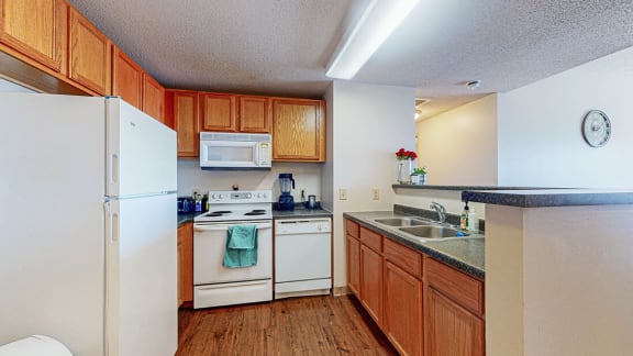 full kitchen with dishwasher, microwave,