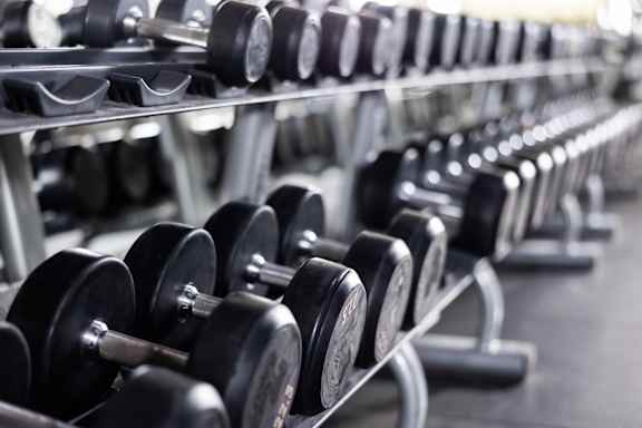 A row of dumbbells are lined up on a rack in a gym.