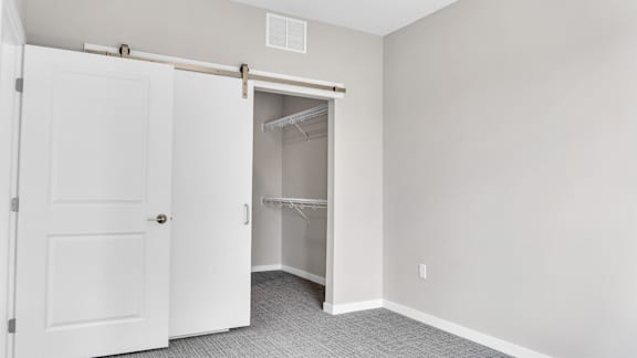 A white door is open to a walk-in closet.