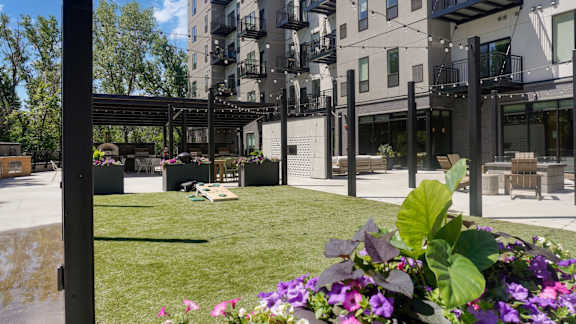 A flower bed with purple flowers in front of a building.