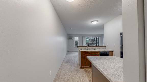 A kitchen area with a counter and cabinets.