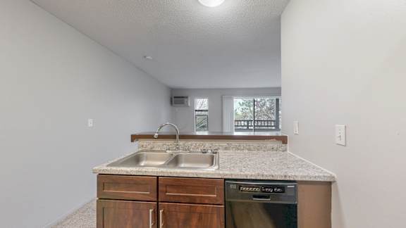 A kitchen with a sink and a window.