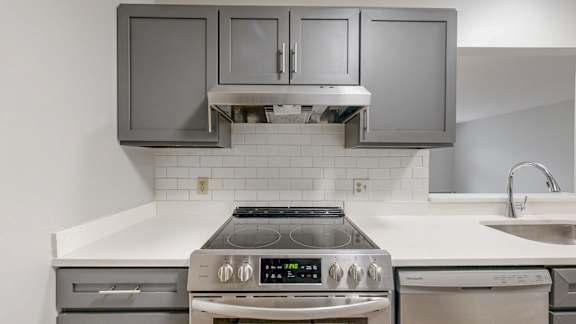 A modern kitchen with a stove top oven and a dishwasher.