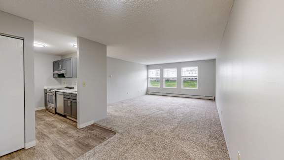 A spacious living room with a kitchenette and a window overlooking a green landscape.