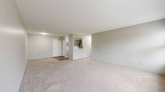 A large, empty room with a carpeted floor and white walls.