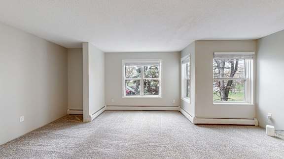 A spacious room with two windows and carpeted floor.