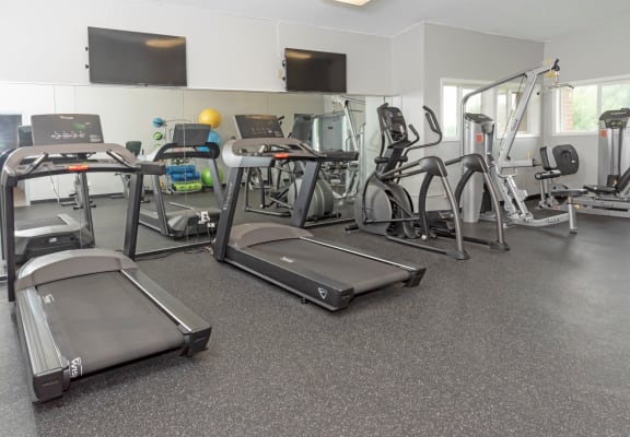 Cardio Studio Equipment at Cinnamon Ridge Apartments, Minnesota, 55122