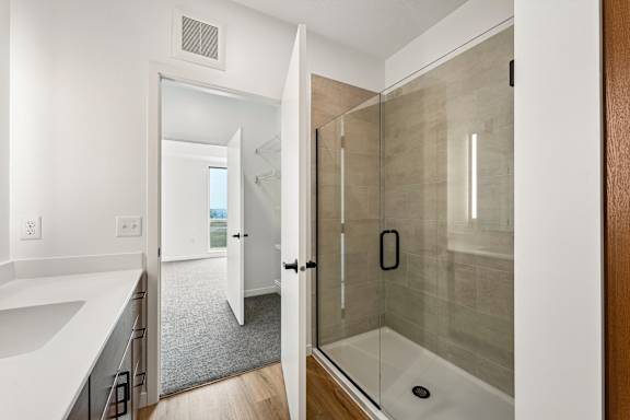 A bathroom with a walk in shower and a white sink.