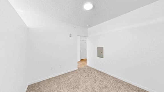 A room with white walls and a carpeted floor.