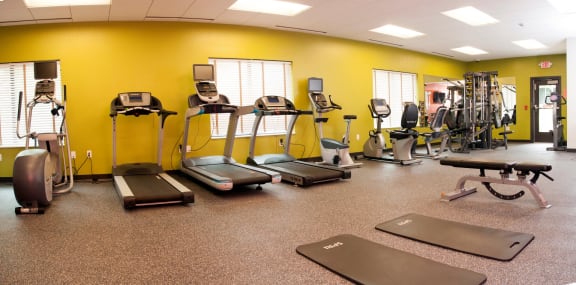 State-of-the-Art Fitness Center with Updated Equipment at Terra Pointe Apartments, St. Paul, MN