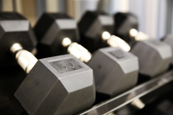 Free weights at Calhoun Towers, Minneapolis, MN, 55416