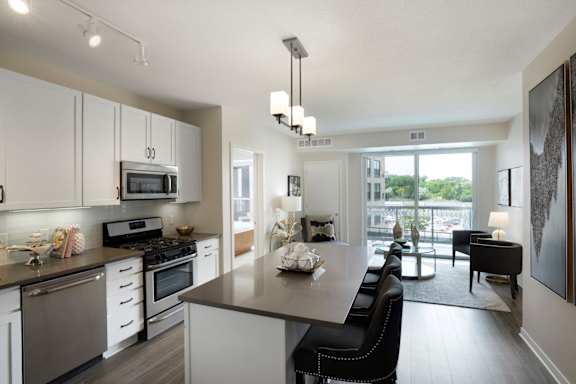 Modern Kitchen Gray Euro Style Cabinets at Residences at 1700, Minnetonka, MN