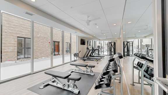A gym with a row of treadmills and a row of weights.