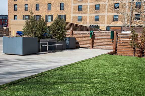 A park with a bench and a tree in front of a building.
