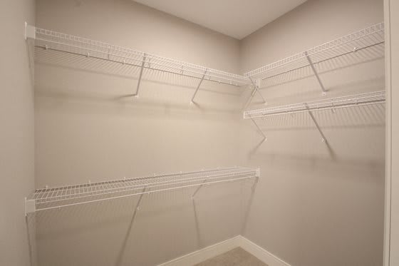 Walk In Closet at The Edison at Avonlea, Lakeville, 55044
