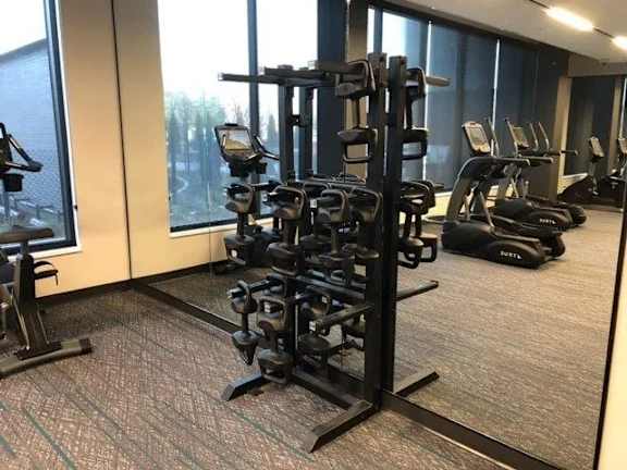 A gym with a variety of equipment including treadmills and weights at The Redwell Apartments, Minneapolis