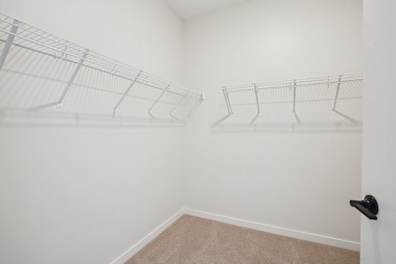 A room with a white wall and a black door handle.