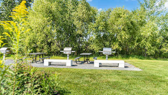 Picnic tables and benches are surrounded by greenery in a park.