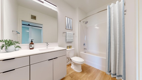 a bathroom with a sink and a toilet and a shower
